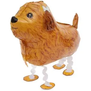 3D Терьер коричневый (ходячий шар) / Китай R259P