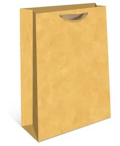 Пакет подарочный 18*22,3*10 см. / 2312.172