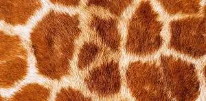 Открытка "А-Д" 0318.680