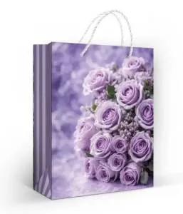 Пакет подарочный (М) 22,7*18 см/ 15.11.02669