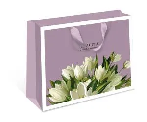 Пакет подарочный 50*40*25 см / 1327.776