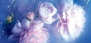 Конверт "Праздник" 2901961