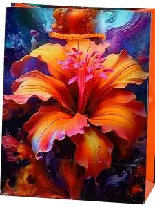 Пакет подарочный S/ПКП-1109  11,5*14,5*6 см 