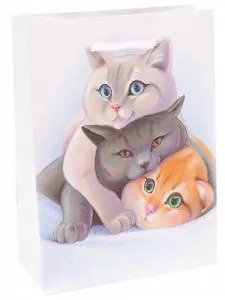 Пакет подарочный L/ППК-6312 26.4*32.7*8 см с ламинацией