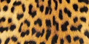 Открытка "А-Д" 0318.684