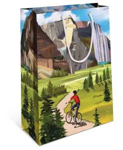 Пакет подарочный 18*22,3*10 см / 0192.019