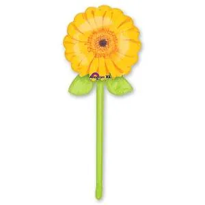 Георгин в ассортименте