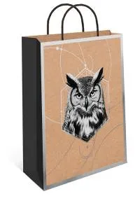 Пакет подарочный 18*22,3*10 см. / 0397.677