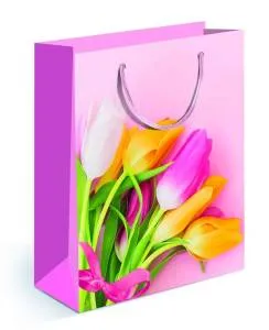 Сумка подар. 15,11,01727/ 18*23*10см