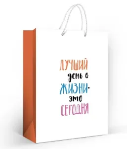 Пакет подарочный (L) 32,7*26 см / 10000251