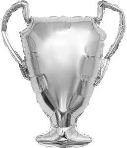 33" Кубок Чемпиона серебро / Китай 27294