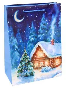 Пакет подарочный ППК-7425 26,4*32,7*13,6 см с мат. ламинацией 