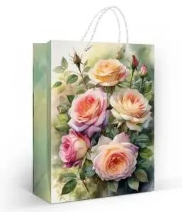 Пакет подарочный (МL) 31*22 см/ 15.25.02558