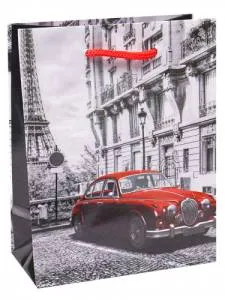 Пакет подарочный ПКП-6334 18*23*10 см с глянц. ламинацией 