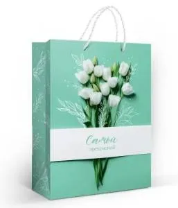 Пакет подарочный (МL) 31*22 см / 10000212