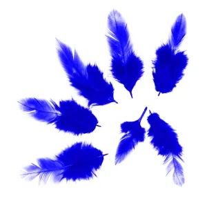 Набор перьев (синие) 50 шт./6014773