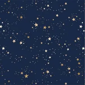 Бумага упак. "Звездная ночь" 70*100 см. (10 листов)/ УБ-4457