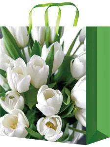 Пакет подарочный M/ППК-4398 18*23*10 см.