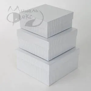 Коробка 23*23*12 см Серебряные линии / 31049