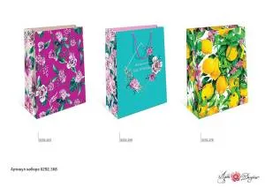 Сумка подар 0292.368