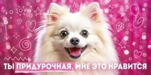 Конверт "Открытая планета" 9.0000085