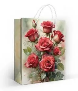 Пакет подарочный (М) 22,7*18 см/ 15.11.02677
