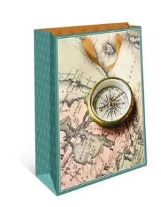 Пакет подарочный 18*22,3*10 см./ 88016151/1312,281