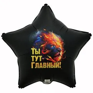 18" Ты тут главный, лев (Китай)/1202-4034