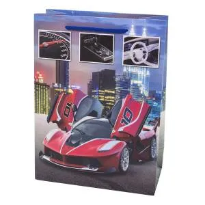 Сумка подар. 202193,202194 / 24*18*9см