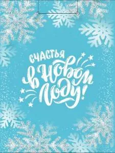 Пакет подарочный М/ПКП-6646 18*23*10 см 