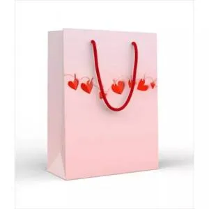 Сумка подар. 15,18,02262/ МS 18*13.5 см