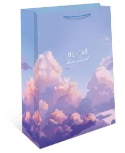 Пакет подарочный 18*22,3*10 см. / 1192.058