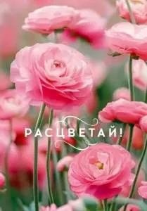 Бирка "Открытая планета" 9.0000666