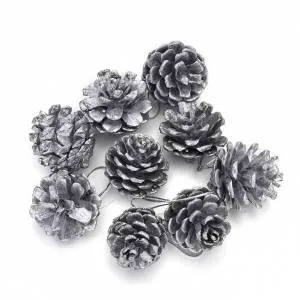 Шишки Серебро / 183494