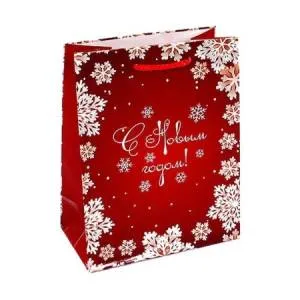 Сумка бум. средн. 23*18*10     