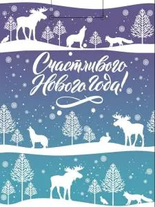 Пакет подарочный М/ПКП-6645 18*23*10 см 