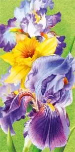 Конверт "М.П." 75403