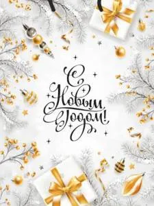 Пакет подарочный L/ПКП-6676 26*32*10 см 