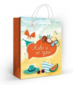 Пакет подарочный (М) 22,7*18 см / 10000255