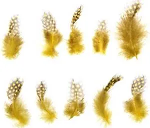 Набор перьев (желтые с коричневым) 10 шт. 1250972