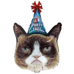 Кот сердитый в колпаке (Китай) / 1207-6293 / 27109