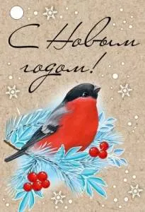 Бирка "Империя поздравлений" 92826