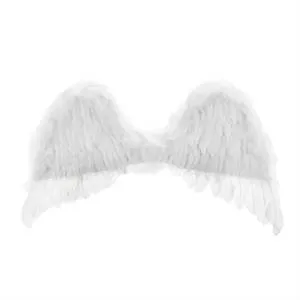 Крылья ангела 1023693