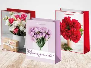 Пакет подарочный 12*15 см/ ч47292