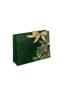 Пакет подарочный 23*18*10 см. / 0557.194