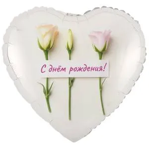 18" РУС ДР Розы нежные (Китай) / 1202-4179