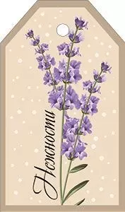 Бирка "Империя поздравлений" 55963