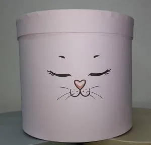 Коробка Кошка с ушками 20*20*18 см 