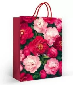 Пакет подарочный (МL) 31*22 см / 90000850