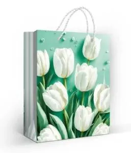 Пакет подарочный (М) 22,7*18 см/ 15.11.02666